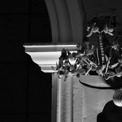 Arquitectura